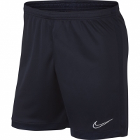 Men's shorts Nike M Dry Academy AJ9994 452
