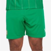 Castore Republic of Ireland Third Shorts 2023 2024 Adults
