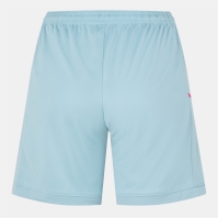 Nike Academy Shorts Womens