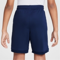 Nike Academy Shorts Juniors