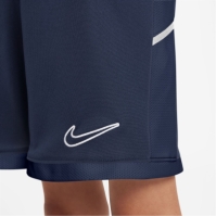 Nike Academy Shorts Juniors
