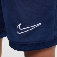 Nike Academy Shorts Juniors