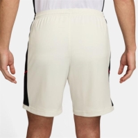 Nike Academy Shorts Mens