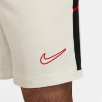 Nike Academy Shorts Mens