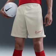 Nike Academy Shorts Mens