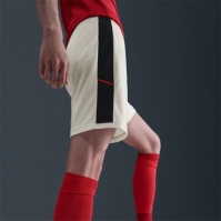 Nike Academy Shorts Mens