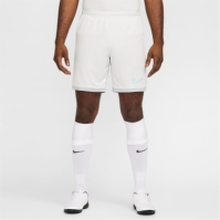 Nike Academy Shorts Mens