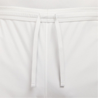Nike Academy Shorts Mens