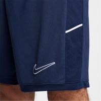 Nike Academy Shorts Mens