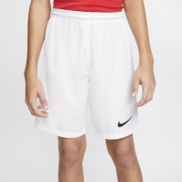 Nike Dri-FIT Park 3 Big Kids Soccer Shorts