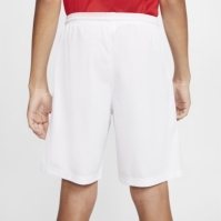 Nike Dri-FIT Park 3 Big Kids Soccer Shorts