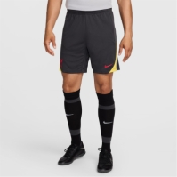 Nike Liverpool Strike Third Shorts 2024 2025 Adults