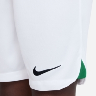 Nike Nigeria Home Match Shorts 2022 Juniors