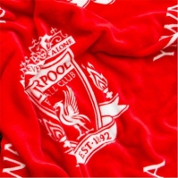 Team Team Fleece Blanket