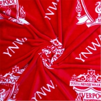 Team Team Fleece Blanket