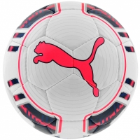 Minge Fotbal Puma Evo Power Futsal 082235 15