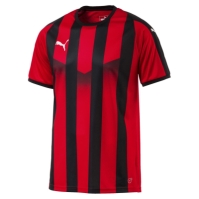Puma LIGA Ftb Shrt S Sn99