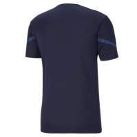 Puma Teamflsh Jersey