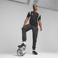 Puma TOP TT