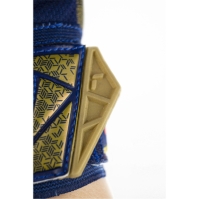 Reusch Attrakt Gold Ch99