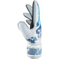 Reusch Attrakt Solid Ch99