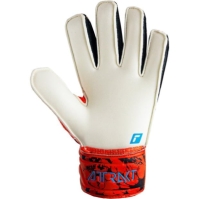 Reusch Attrakt Solid Ch99