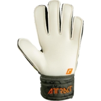 Reusch Attrakt Solid Ch99