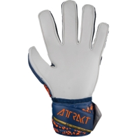 Reusch Attrakt Solid Ch99