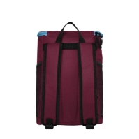 Team Crest Football Insulated Cooler Backpack Bag
