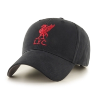 Team Baseball Cap