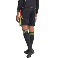 Men's shorts adidas Tiro 24 black IT2411