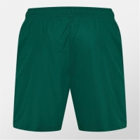 Castore Ireland Training Shorts 2024 Mens