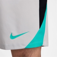 Nike Strike Mens Dri-FIT Global Football Shorts