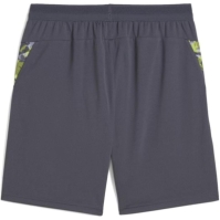 Puma IndividualCUP Football Shorts Adults
