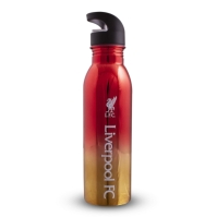 Team Team 700ml UV SS Bottle