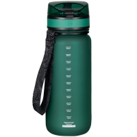 Tritan Trysil 650 ml bottle Alpinus Active bottle bottle bottle green UZ11056