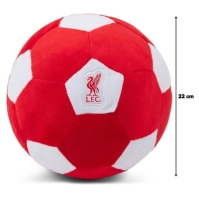 Team Licensed Plush Size 5 Football 22 cm