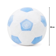 Team Licensed Plush Size 5 Football 22 cm
