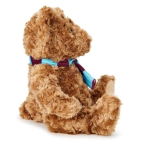 Team Football Licensed Supersoft Classic Bear 25 cm