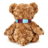 Team Football Licensed Supersoft Classic Bear 25 cm