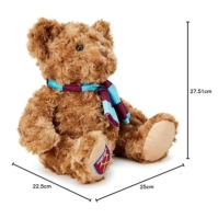 Team Football Licensed Supersoft Classic Bear 25 cm