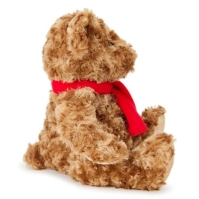 Team Football Licensed Supersoft Classic Bear 25 cm