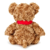 Team Football Licensed Supersoft Classic Bear 25 cm