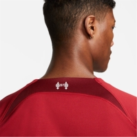 Nike Liverpool FC Stadium Home Shirt 2022 2023 Mens