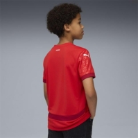 Puma Switzerland Home Shirt 2025 Juniors