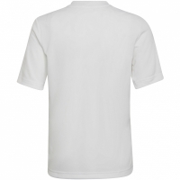 Koszulka dla dzieci adidas Entrada 22 Graphic Jersey biało-szara HF0120