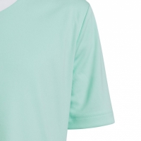 Koszulka dla dzieci adidas Entrada 22 Jersey miętowa HC5078