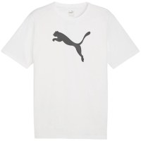 Puma Team Rise Logo Jersey Cotton men's T-shirt white 658705 04