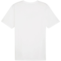 Puma Team Rise Logo Jersey Cotton men's T-shirt white 658705 04