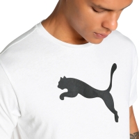 Puma Team Rise Logo Jersey Cotton men's T-shirt white 658705 04